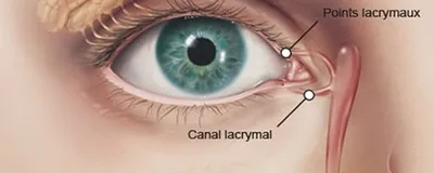 Dacryoscanner
